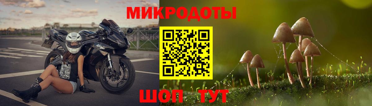 Псилоцибиновые грибы MAGIC MUSHROOMS Москва